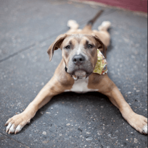 What the spider was doing, but this guy is like 274526745 times cuter