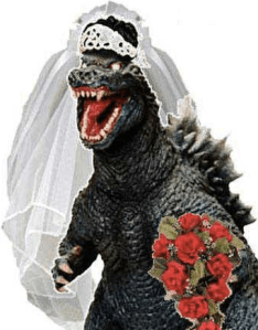 guys, wasn't I a pretty bride?