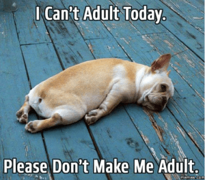 Screen Shot 2015-10-28 at 5.34.13 p.m.