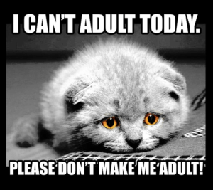 Screen Shot 2015-10-28 at 5.36.07 p.m.