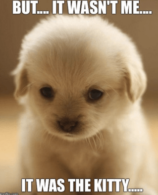 Screen Shot 2016-02-02 at 11.08.57 a.m.