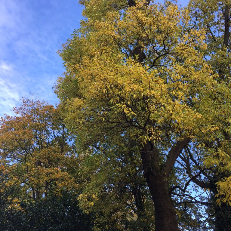 B4DFDDFD-A082-47A1-BAE5-847B1E317AE9